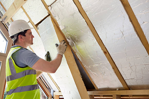 Best Eco-Friendly or Green Insulation Solutions  in Cao, ND